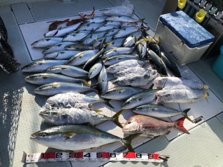 ふじしめ丸 釣果