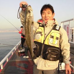 尼崎市立魚つり公園 釣果