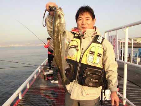 尼崎市立魚つり公園 釣果