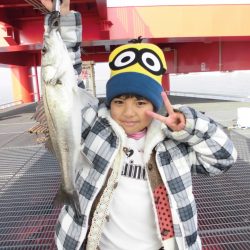 尼崎市立魚つり公園 釣果