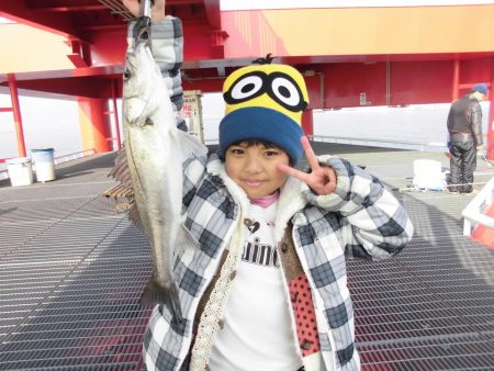 尼崎市立魚つり公園 釣果