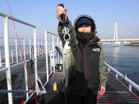 尼崎市立魚つり公園 釣果