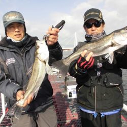 尼崎市立魚つり公園 釣果