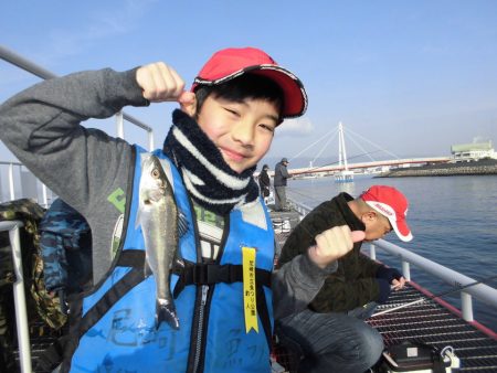 尼崎市立魚つり公園 釣果