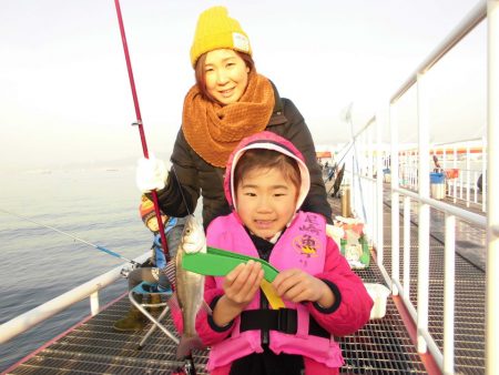 尼崎市立魚つり公園 釣果