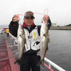 尼崎市立魚つり公園 釣果