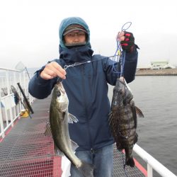 尼崎市立魚つり公園 釣果