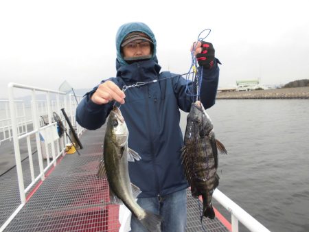 尼崎市立魚つり公園 釣果