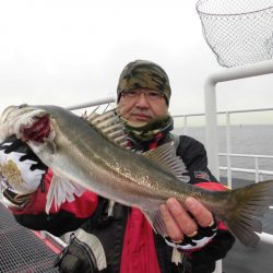 尼崎市立魚つり公園 釣果