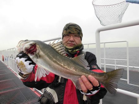 尼崎市立魚つり公園 釣果