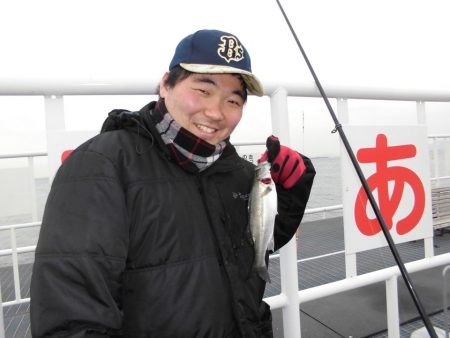 尼崎市立魚つり公園 釣果