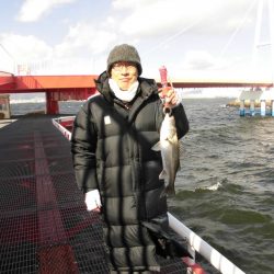 尼崎市立魚つり公園 釣果