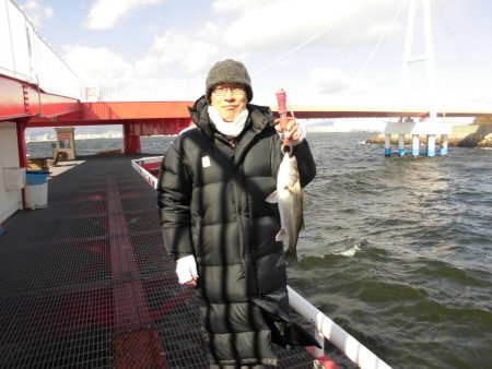 尼崎市立魚つり公園 釣果