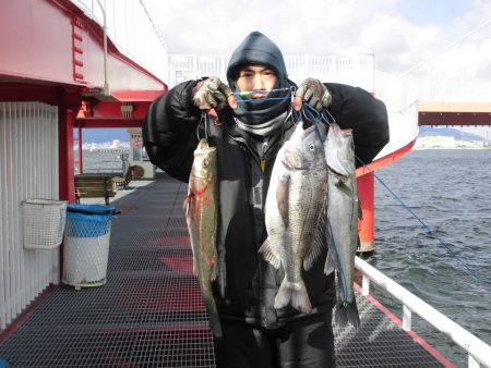 尼崎市立魚つり公園 釣果