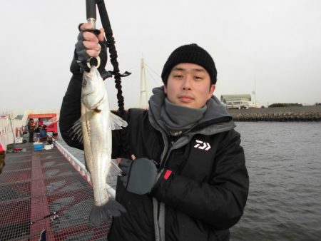 尼崎市立魚つり公園 釣果