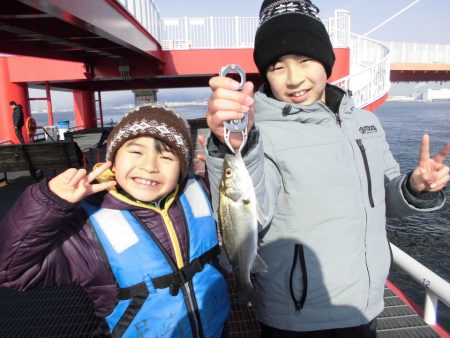 尼崎市立魚つり公園 釣果
