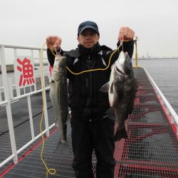 尼崎市立魚つり公園 釣果