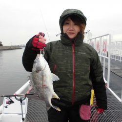 尼崎市立魚つり公園 釣果