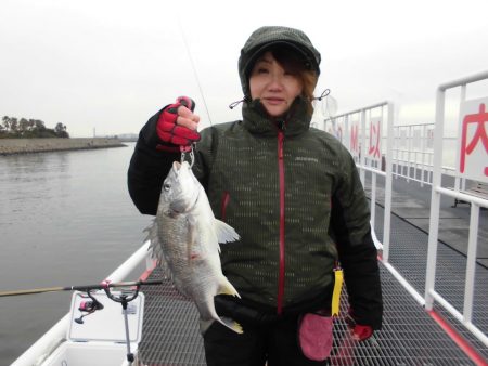 尼崎市立魚つり公園 釣果