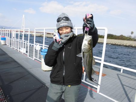 尼崎市立魚つり公園 釣果