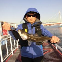 尼崎市立魚つり公園 釣果