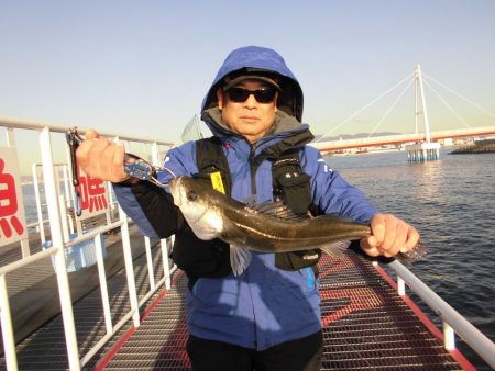 尼崎市立魚つり公園 釣果