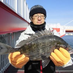 尼崎市立魚つり公園 釣果