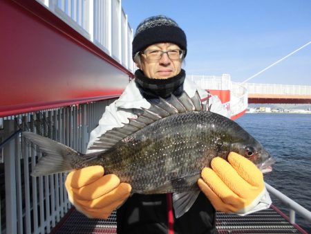 尼崎市立魚つり公園 釣果