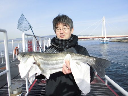 尼崎市立魚つり公園 釣果