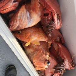 寿裕 （YOSHIHIRO） 釣果