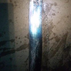 みんな頑張ってます