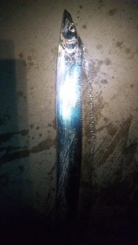 みんな頑張ってます