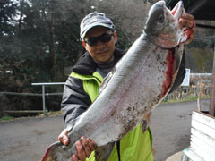 すそのフィッシングパーク 釣果