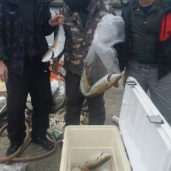 第五慶門丸 釣果