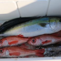 へいみつ丸 釣果