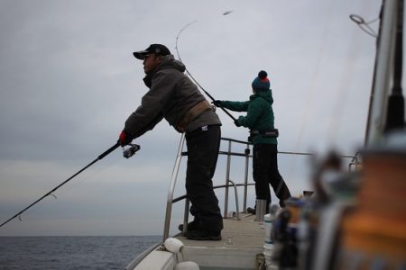 クルーズ 釣果
