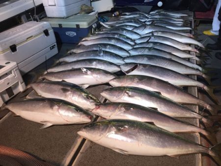 幸風（さちかぜ） 釣果