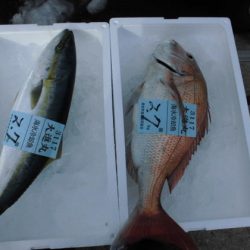 大進丸(新潟) 釣果