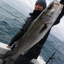 ＢｌｕｅＮｏｔｅ　Ｆｉｓｈｉｎｇ　Ｔａｘｉ 釣果