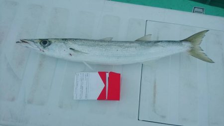 深川 吉野屋 釣果