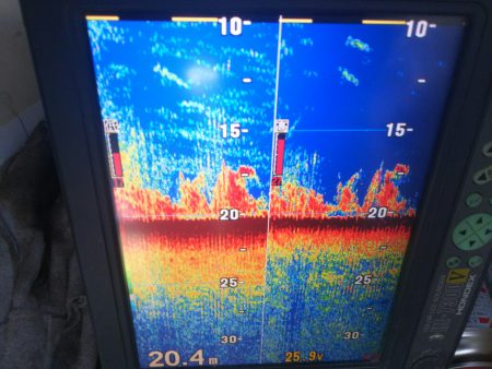 深川 吉野屋 釣果