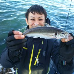 深川 吉野屋 釣果