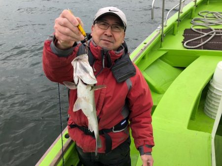 深川　吉野屋 釣果