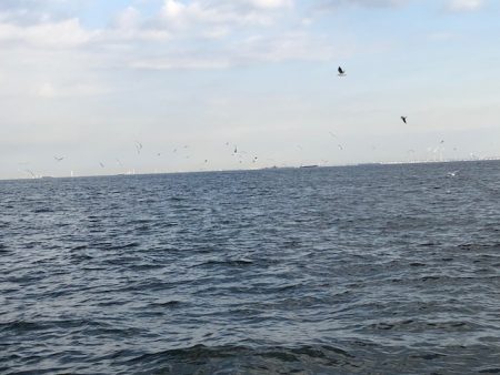 深川　吉野屋 釣果