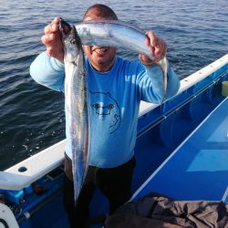 深川 吉野屋 釣果