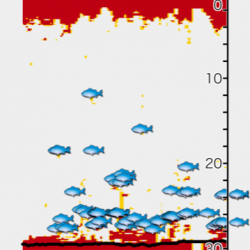 深川 吉野屋 釣果