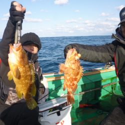 真祐丸 (しんゆうまる) 釣果