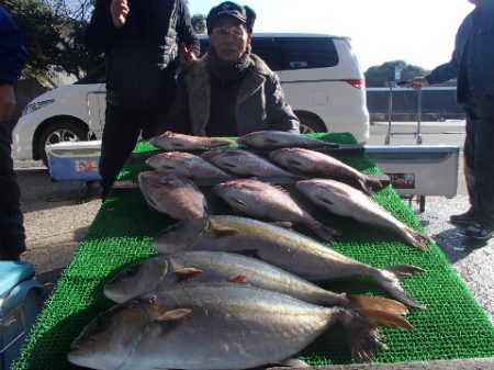 カタタのつり堀 釣果