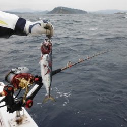開進丸 釣果