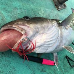 広進丸 釣果